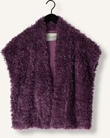 Paarse AMAYA AMSTERDAM Gilet BRUNA Paarse AMAYA AMSTERDAM Gilet BRUNA - medium