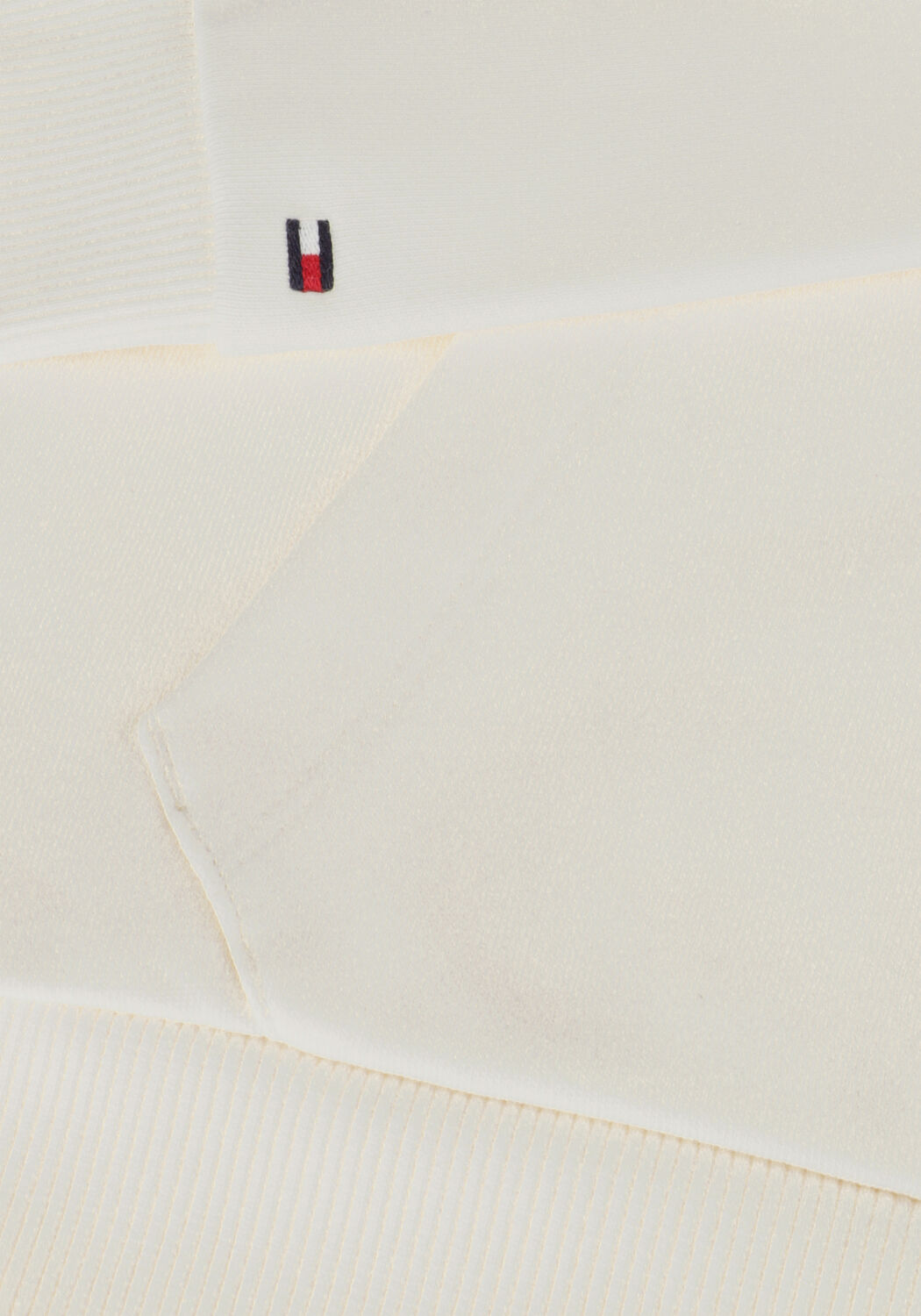 TOMMY HILFIGER Chandail TH LOGO PUFF PRINT REG HOODIE en blanc - large