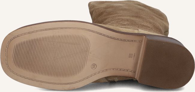 BLASZ 2167 BLASZ 2167 - large
