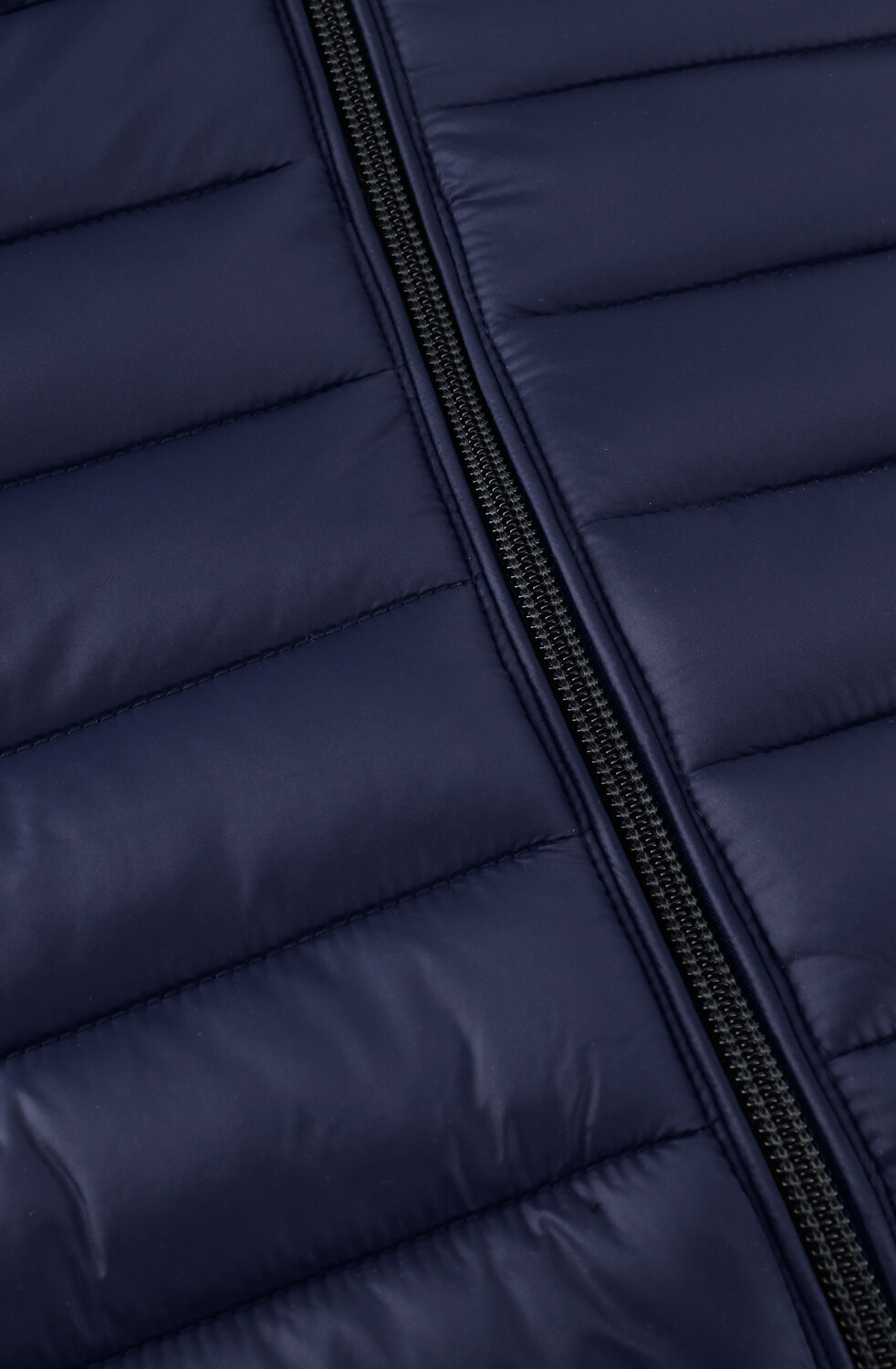SAVE THE DUCK Veste matelass&eacute; ALEXANDER GIGA01 Bleu fonc&eacute; - large