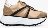 Bronzen ALEXANDER SMITH Lage sneakers CHELSEA - medium
