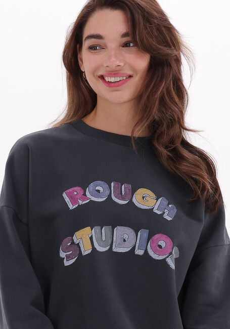 ROUGH STUDIOS Pull 7220100432072 en gris - large