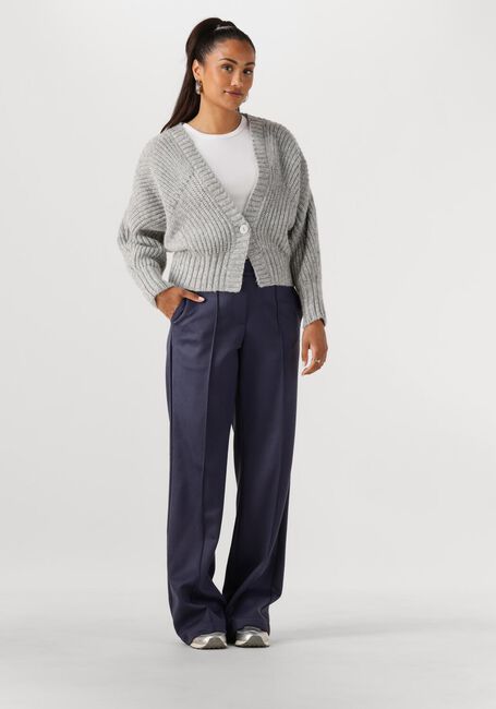 Grijze NUKUS Trui JOLIJN CARDIGAN - large