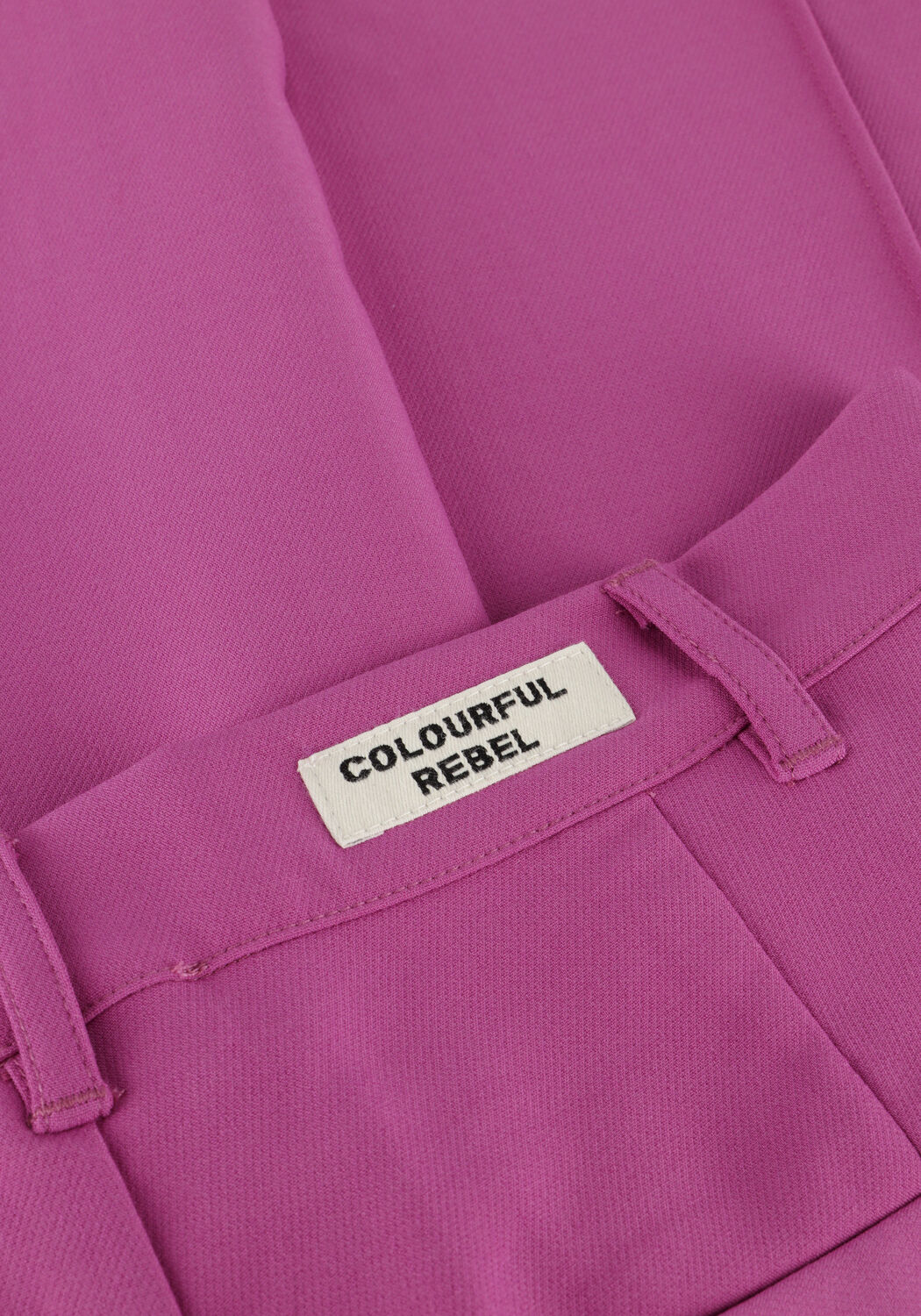 COLOURFUL REBEL Pantalon large RUS UNI PINTRUCK STRAIGHT PANTS en rose - large