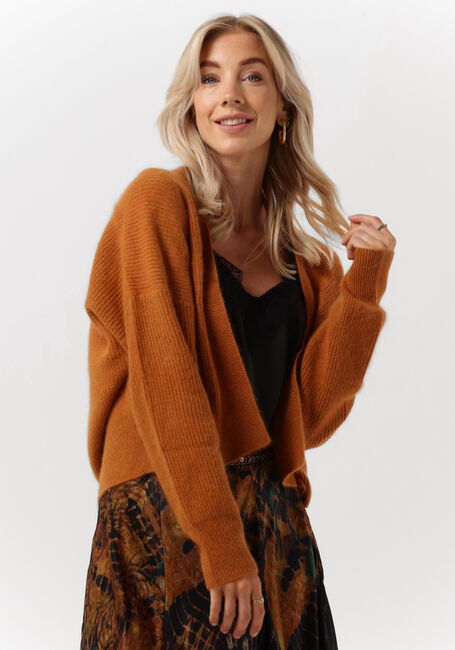 Bruine MES DEMOISELLES Vest CARI - large