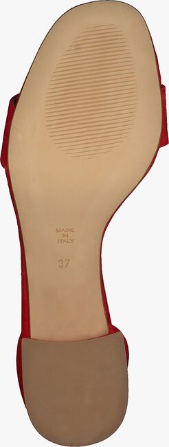 NOTRE-V Sandales 19412 en rouge  - large