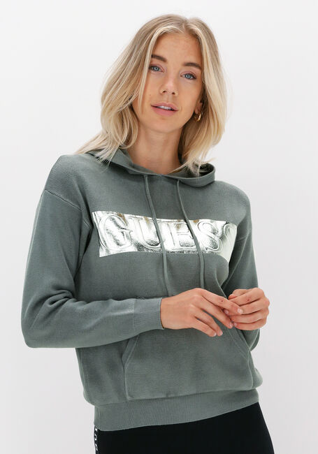 Grijze GUESS Sweater GEMMA HOODIE SWTR - large
