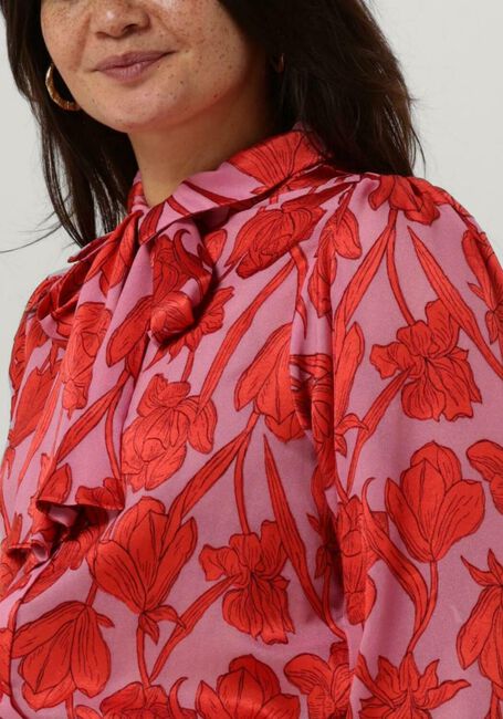 Fuchsia AAIKO  CHARLOTTA VIS 520 - large