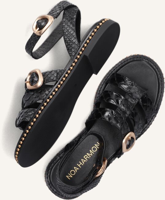 Zwarte NOA HARMON Sandalen 9737 Zwarte NOA HARMON Sandalen 9737 - large
