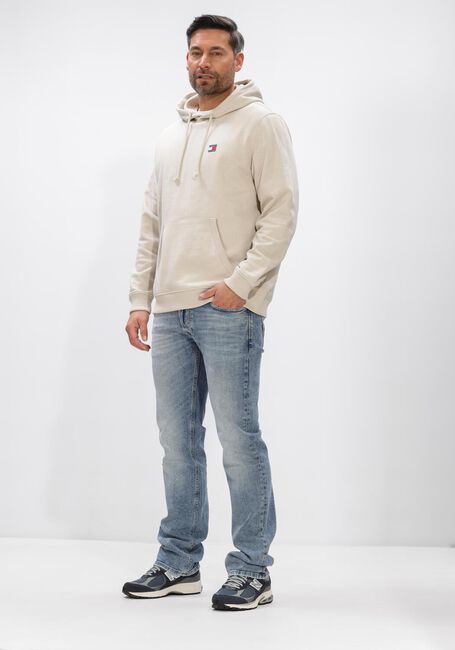 TOMMY JEANS Chandail TJM REG BADGE HOODIE EXT Bleu clair - large