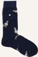 Blauwe ALFREDO GONZALES Beenmode PIGEONS - medium