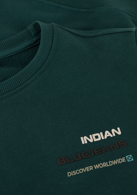 Donkergroene INDIAN BLUE JEANS Sweater LOOSE FIT SWEAT BACKPRINT - large