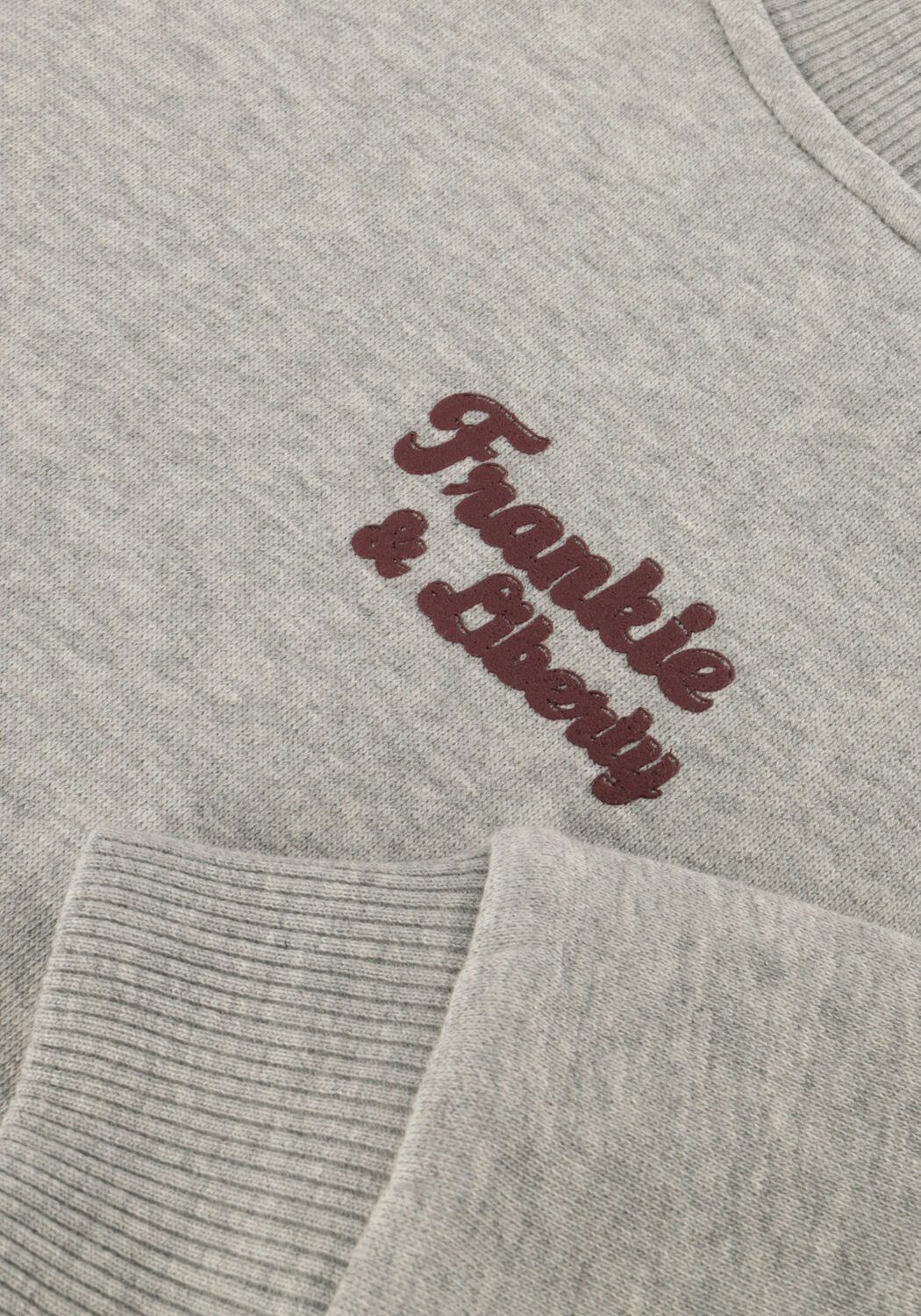 Lichtgrijze FRANKIE & LIBERTY Trui TAMSA SWEATSHIRT - large