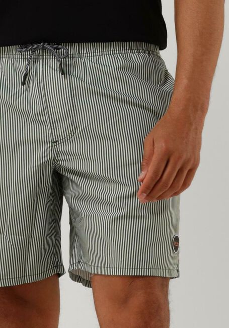 SHIWI Shorts de bain MEN SWIMSHORT SKINNY STRIPE en vert - large