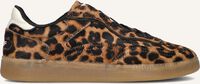 THE HOFF BRAND ALLEY LEOPARD THE HOFF BRAND ALLEY LEOPARD - medium