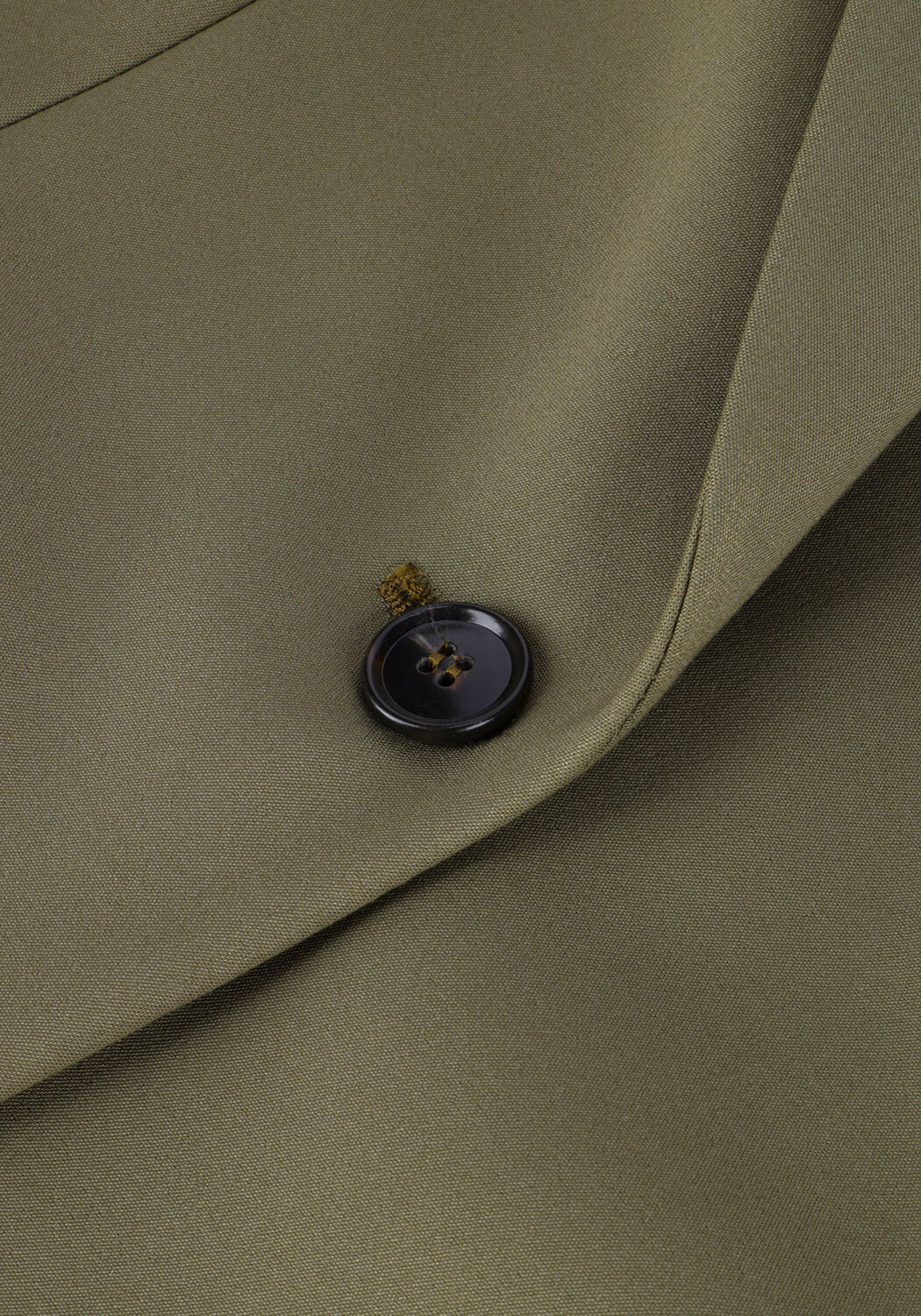 Groene TIGER OF SWEDEN Blazer ZARIA - large