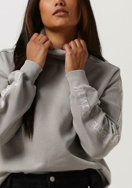 Grijze CALVIN KLEIN Trui LOGO TAPE SLEEVES ROLL NECK - large