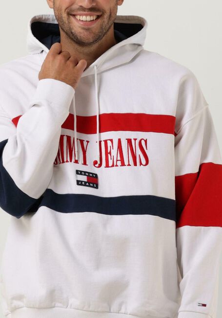 TOMMY JEANS Chandail TJM SKATER ARCHIVE BLOCK HOODIE en multicolore - large