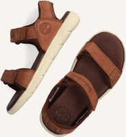 Bruine TIMBERLAND Sandalen NUBBLE SANDAL LTHR 2 STRAP Bruine TIMBERLAND Sandalen NUBBLE SANDAL LTHR 2 STRAP - medium