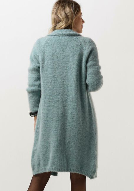 Blauwe BELLAMY Vest MABEL - large