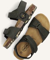 Groene DEVELAB Sandalen 48319 Groene DEVELAB Sandalen 48319 - medium