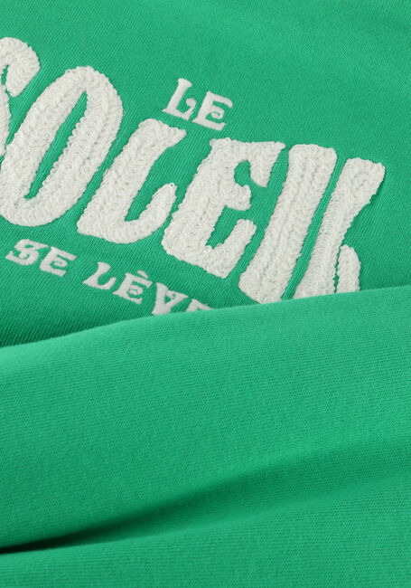 Groene INDIAN BLUE JEANS Sweater SWEATER SOLEIL - large