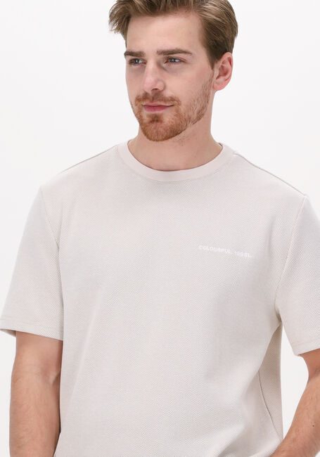 Beige COLOURFUL REBEL T-shirt STRUCTURE TEE - large