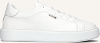 Witte ANTONY MORATO Sneakers MMFW01666 Witte ANTONY MORATO Sneakers MMFW01666 - medium