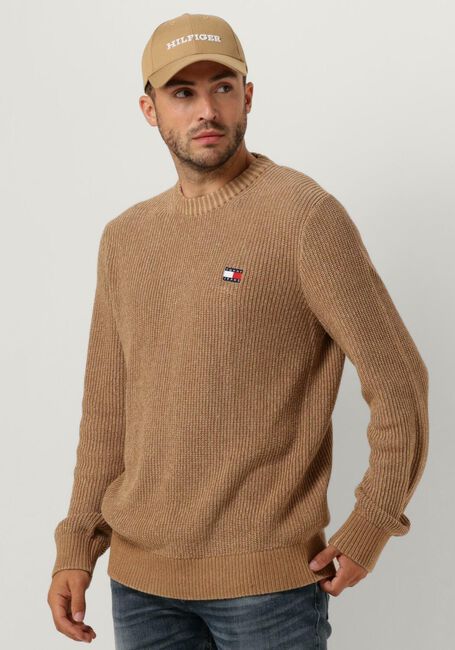 Beige TOMMY JEANS Trui TJM REG TONAL XS BADGE SWEATER - large