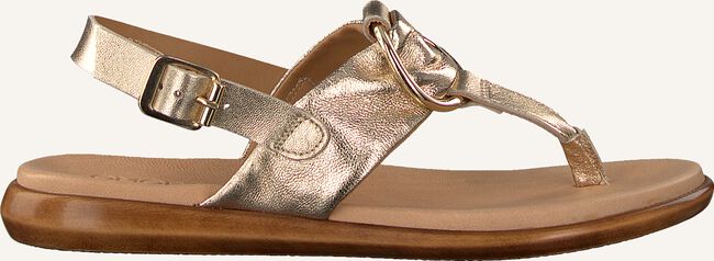 Gouden OMODA Sandalen ASO4/MOD Gouden OMODA Sandalen ASO4/MOD - large