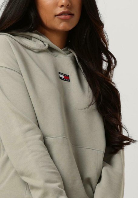 Groene TOMMY JEANS Sweater TWJ BXY XS BADGE HOODIE - large