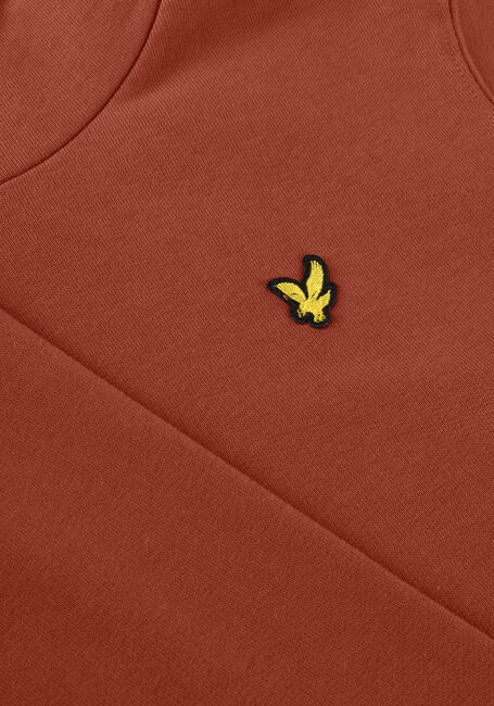 Bruine LYLE & SCOTT Truien/vesten PULLOVER HOODIE - large