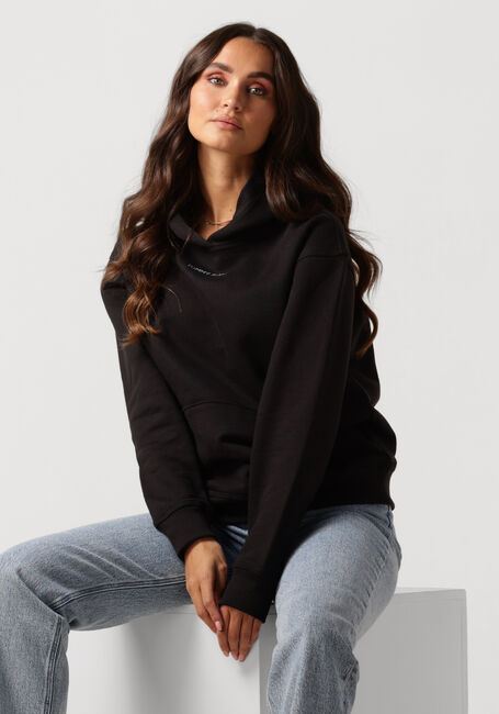 Zwarte TOMMY JEANS Trui TJW RLX SMALL CLASSIC HOODIE EXT - large