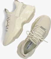 Witte STEVE MADDEN Lage sneakers MAXILLA-R - medium