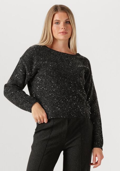 JANSEN AMSTERDAM Pull ANOUK TRUI HK 151 ROUND NECKLINE Gris foncé - large