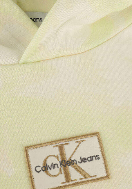 Groene CALVIN KLEIN Trui SUN BLEACHED AOP HOODIE - large