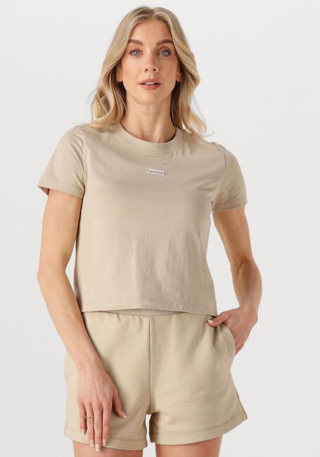 CALVIN KLEIN T-shirt PLACED INSTITUTIONAL BABY TEE Sable - large