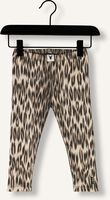 Bruine ALIX MINI Legging ANIMAL RIB LEGGING Bruine ALIX MINI Legging ANIMAL RIB LEGGING - medium