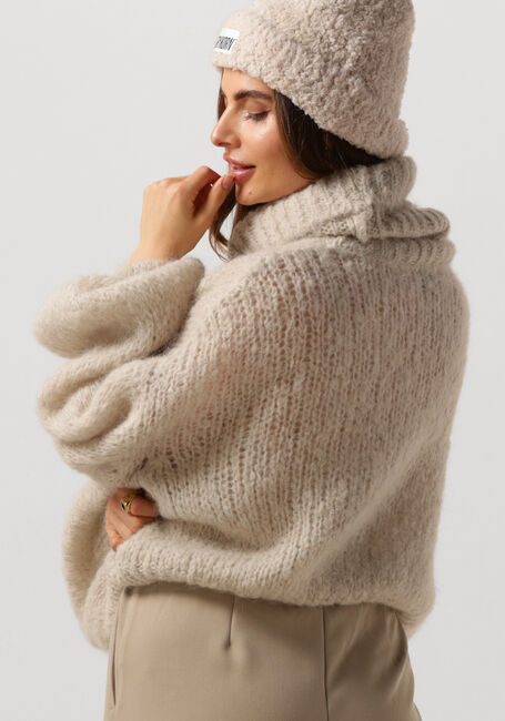 Beige AMERICAN DREAMS Coltrui PEPPER ROLL NECK CROPPED - large