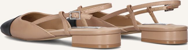 Bruine STEVE MADDEN  BELINDA Bruine STEVE MADDEN  BELINDA - large