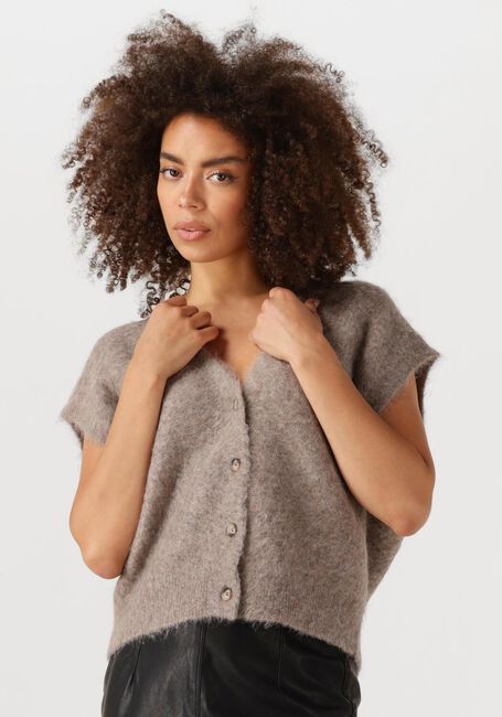 KNIT-TED Spencer CONSTANCE en taupe - large