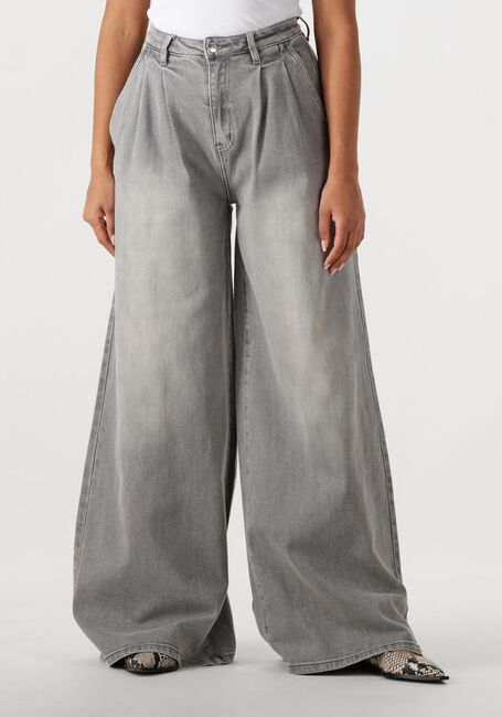 JANICE Wide jeans JEANS WIJDE PIJP STRETCH DOLLAR en gris - large