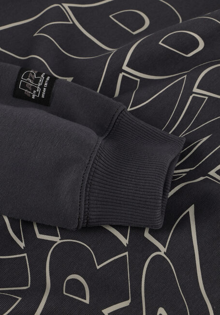 RAIZZED Chandail NOBY en gris - large