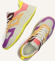 Multi SCOTCH & SODA Sneakers CELESTIA Multi SCOTCH & SODA Sneakers CELESTIA - medium