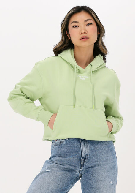 CALVIN KLEIN Chandail STACKED LOGO HOODIE en vert - large