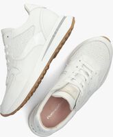 Witte FLORIS VAN BOMMEL Lage sneakers SFW-10082 - medium