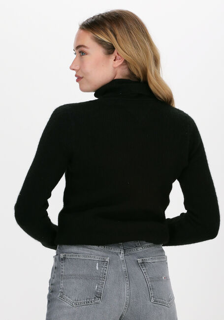 Zwarte TOMMY JEANS Coltrui TJW TINY TOMMY 2 RIB TURTLENEC - large