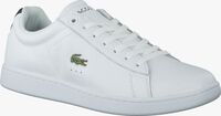 Witte LACOSTE Sneakers CARNABY EVO 3 - medium