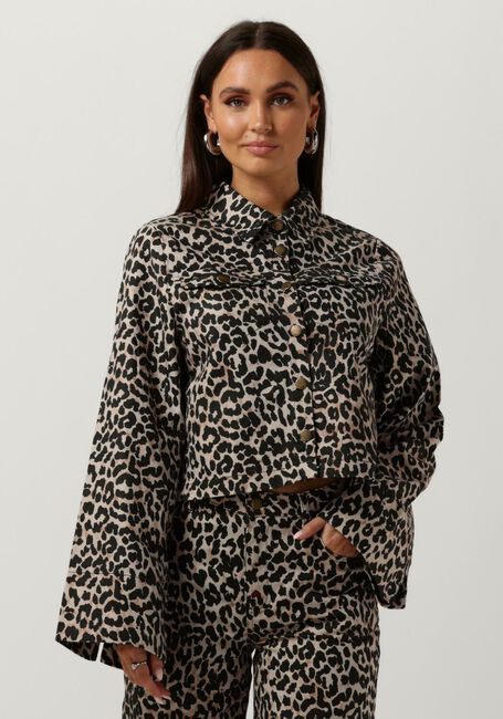 Leopard HARPER & YVE Jack LEXIE-JA - large