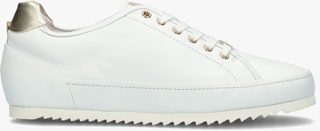 Witte HASSIA Lage sneakers PADOVA - large